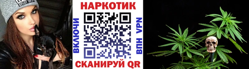Какие есть наркотики Игра Alpha-PVP  МЕГА как зайти  Метадон  КОКАИН  Канабис  Амфетамин  Гашиш 